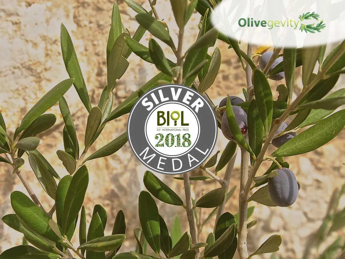 Nagroda BIOL 2018 Silver Medal